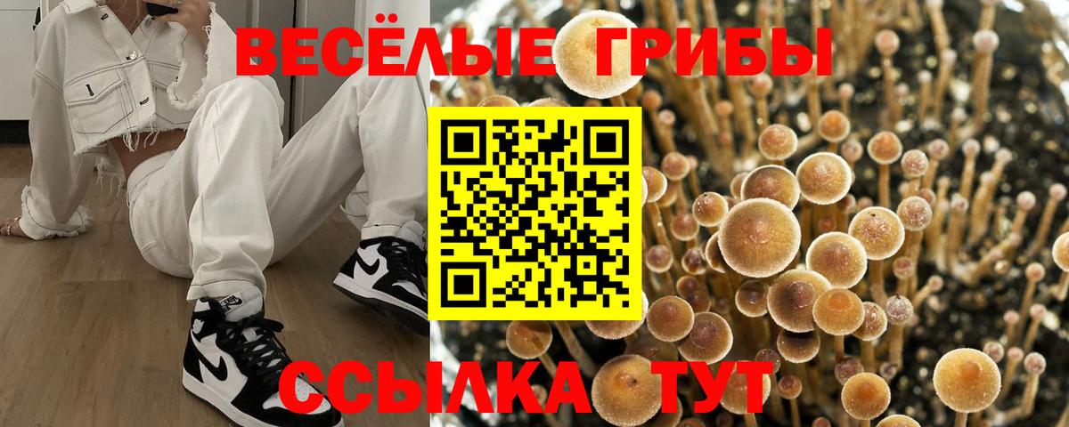 Псилоцибиновые грибы ЛСД  Вход с VPN  Псилоцибиновые грибы прущие грибы  Воронеж 