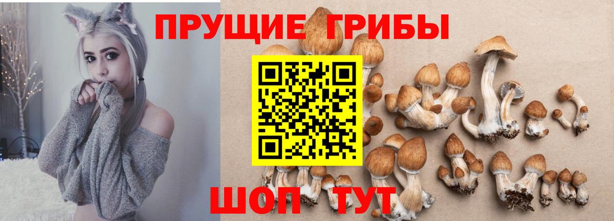 Псилоцибиновые грибы Magic Shrooms Воронеж